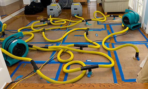 Professional Crawl Space Water Removal technician working in Minden City, MI